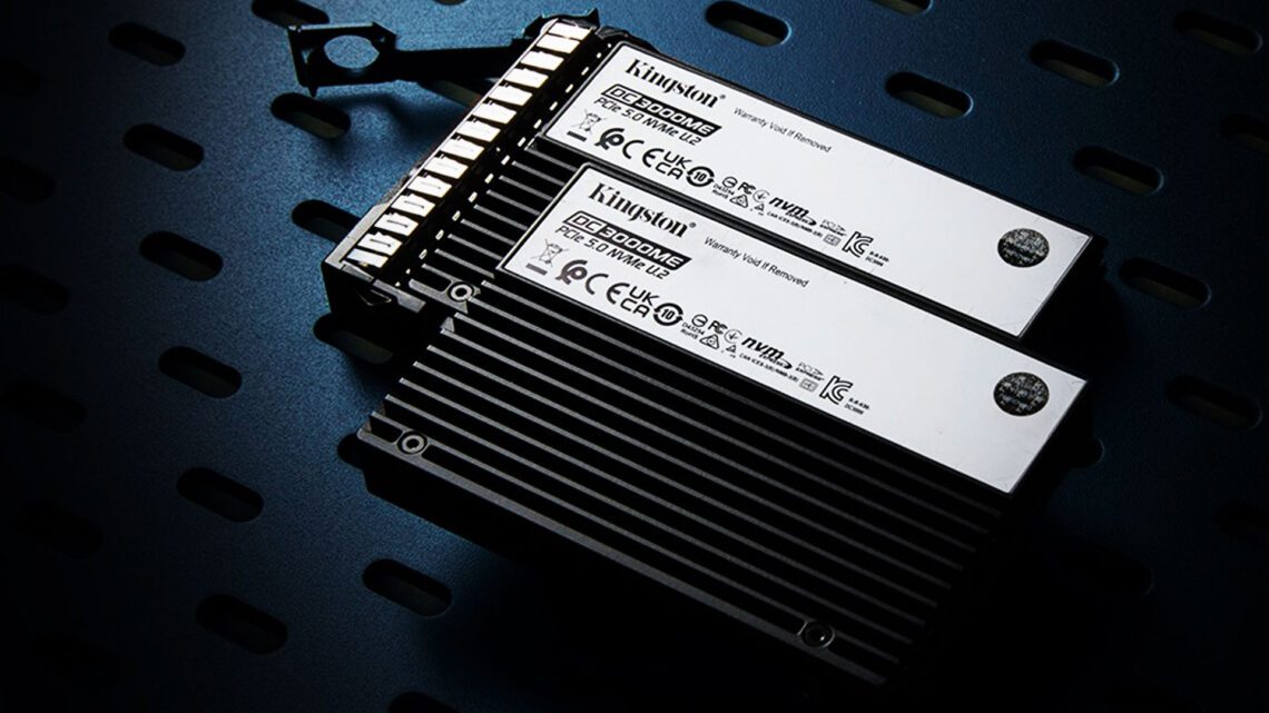 Kingston DC3000ME-PCIe-5.0-NVMe-U.2-SSD